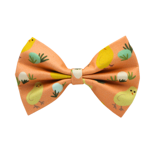Nœud papillon « Petit poulet »