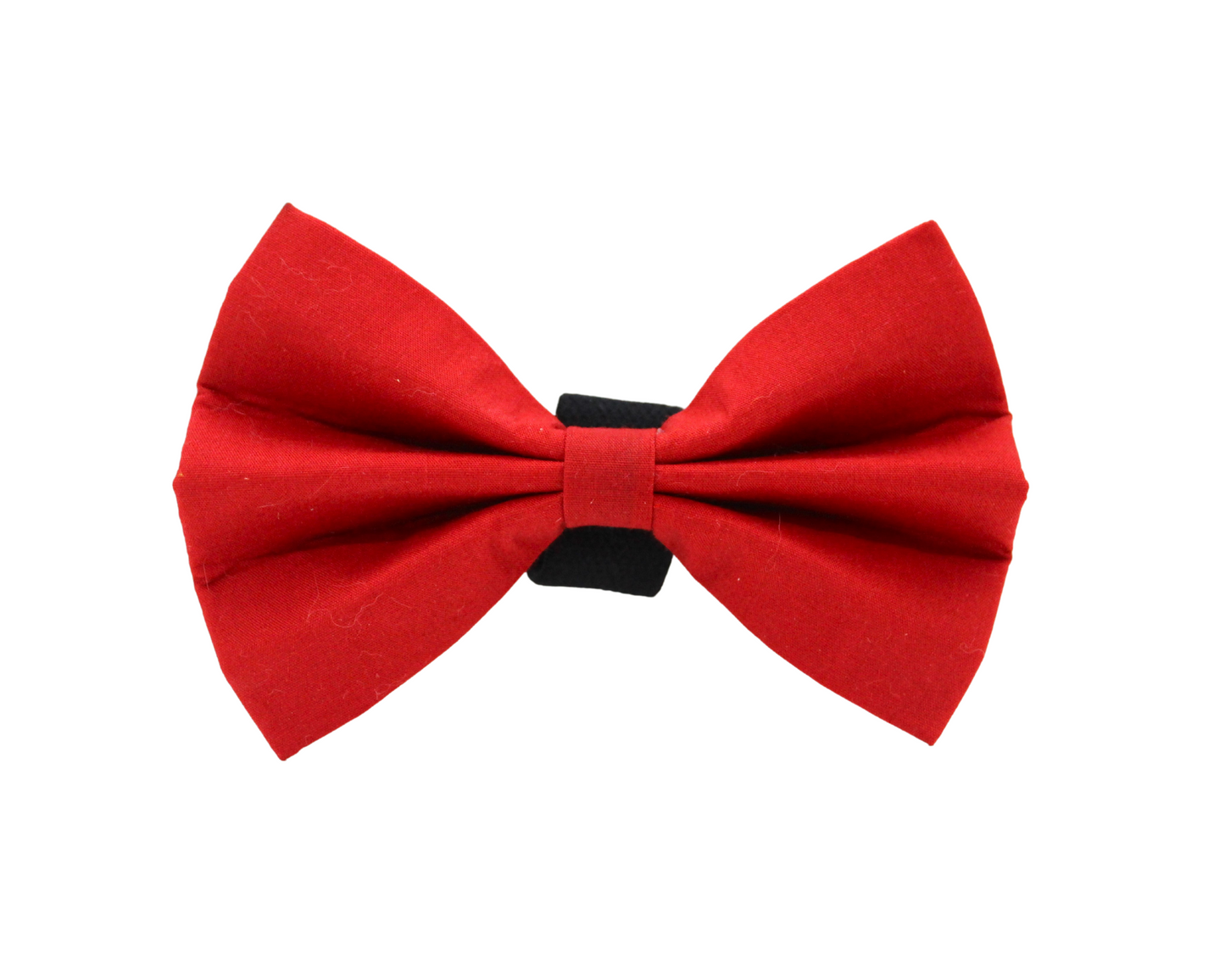 ''Sangria'' bow tie