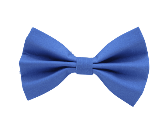 "Violet" bow tie 