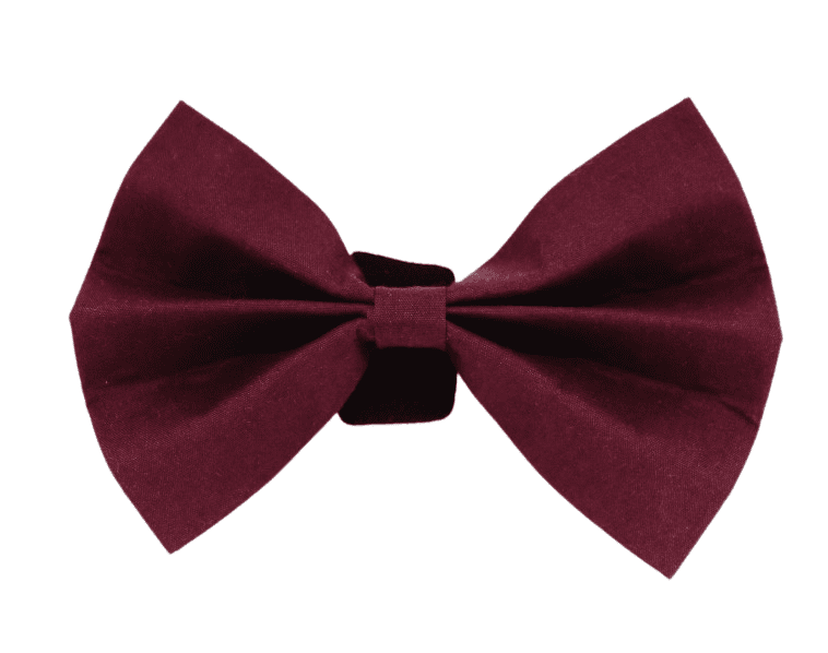 ''Prune'' bow tie