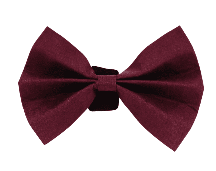 Nœud papillon « Prune »