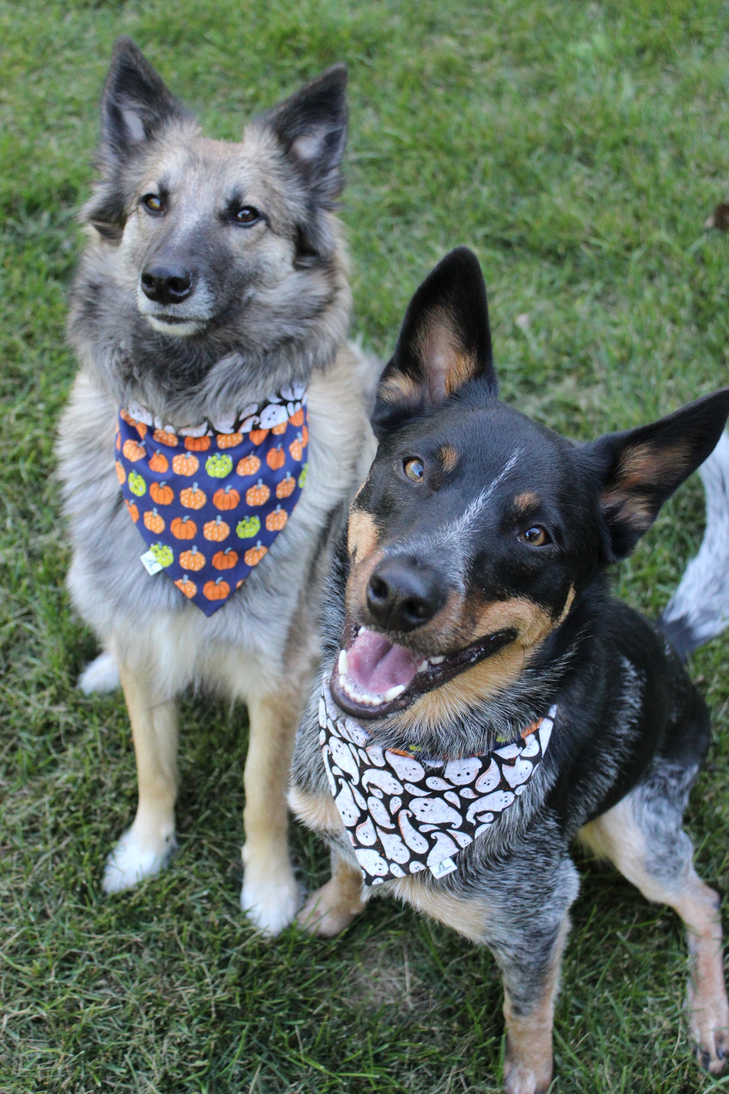 Bandana « Boo! »