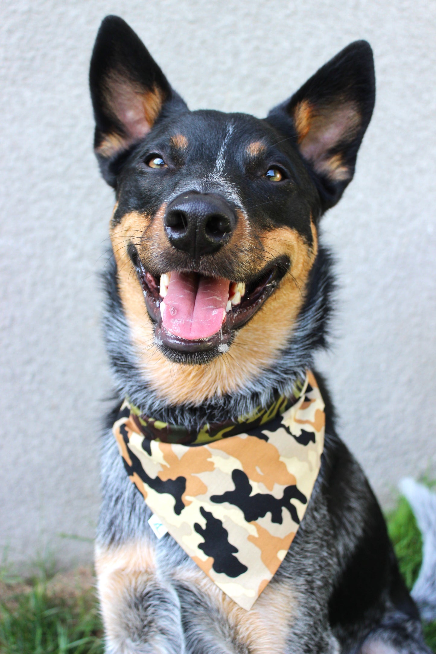''Artillery'' bandana