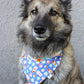 Bandana « Café, etc. »