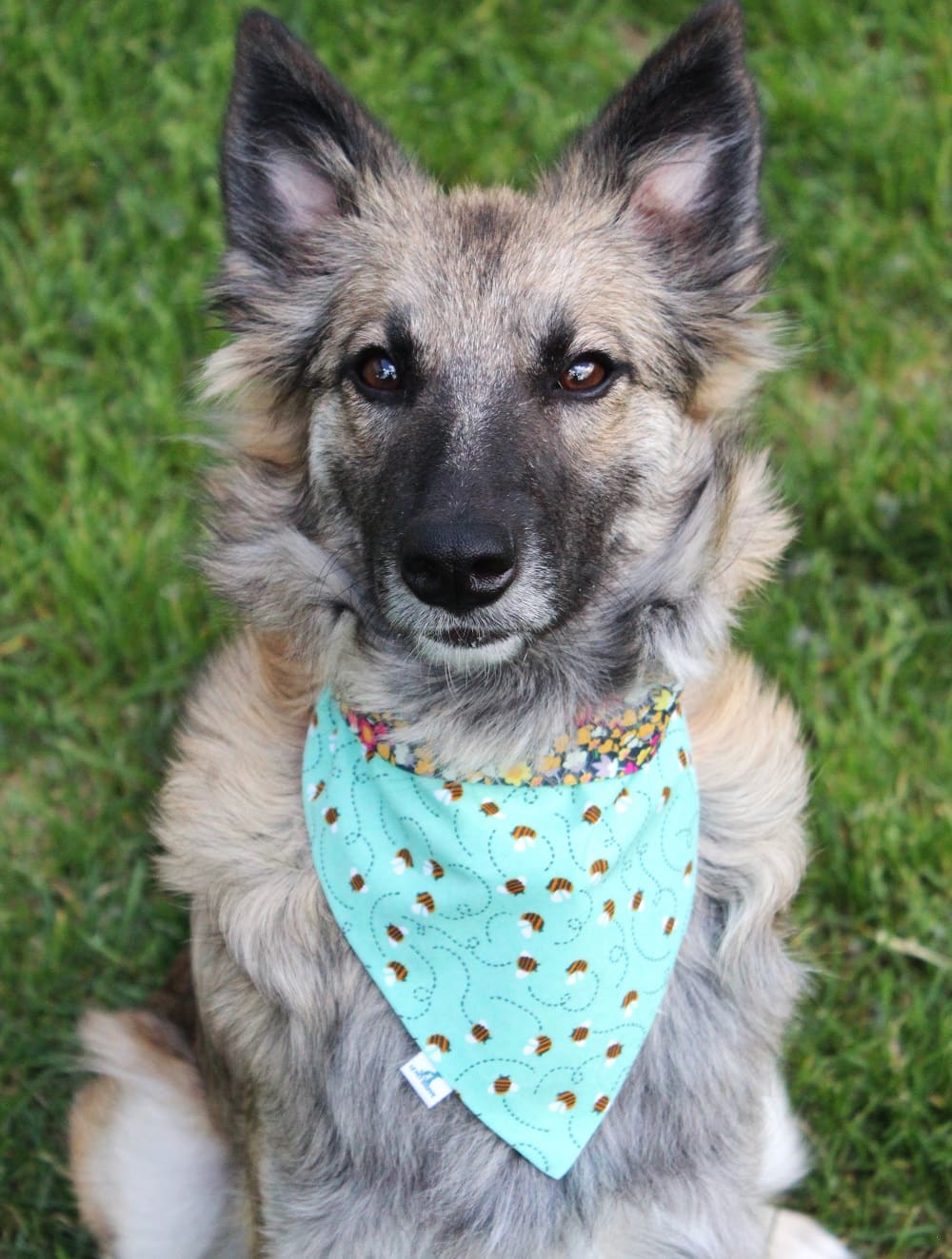 Bandana « Monde d'abeilles »