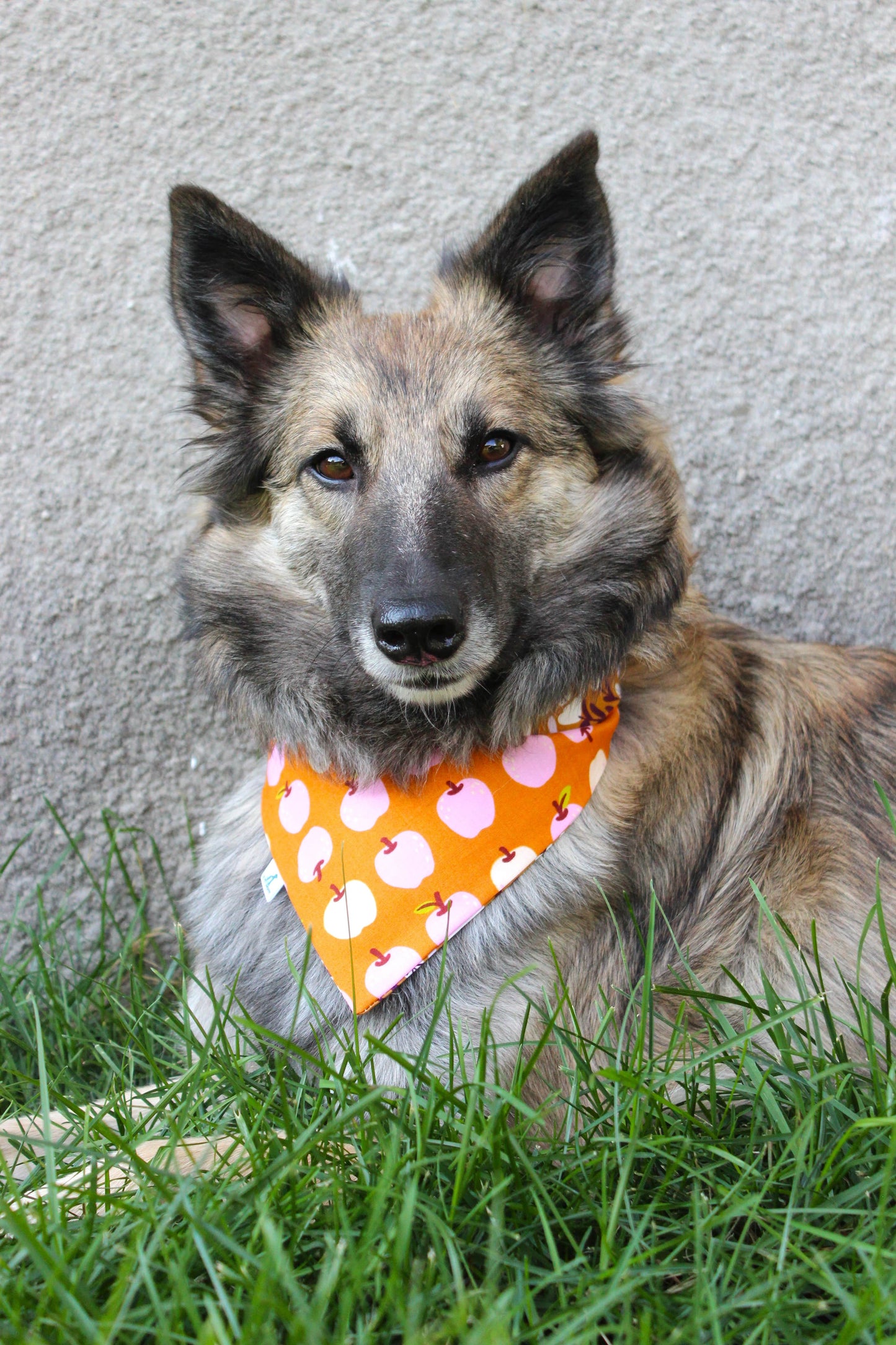 Bandana « Pomme et cannelle »