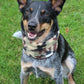 'Battalion" neck warmer