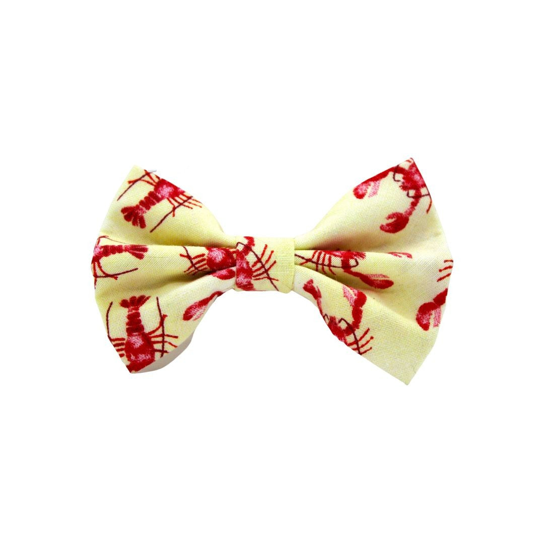 Noeud papillon trop formicrabe beige