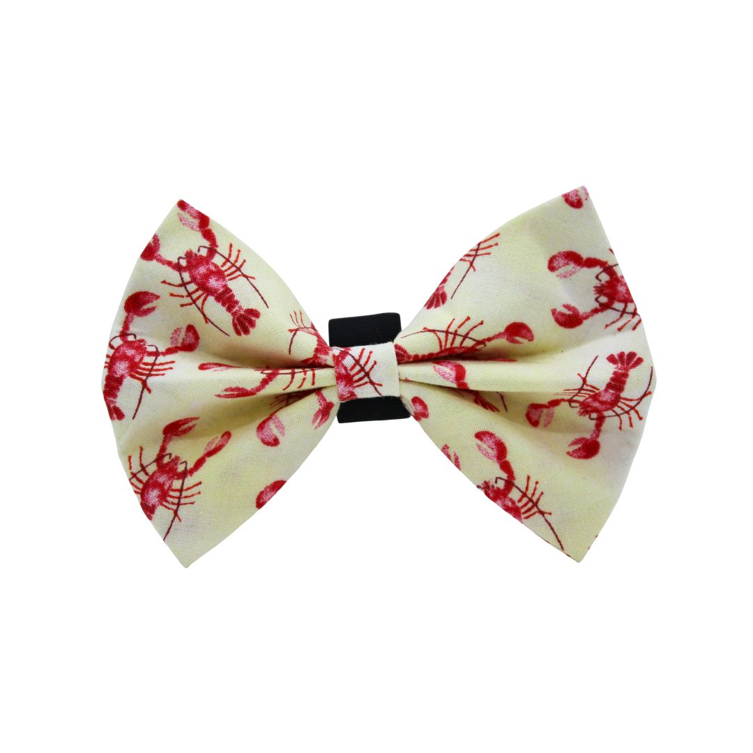 Noeud papillon trop formicrabe beige