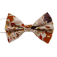 ''Cozy critters'' bow tie