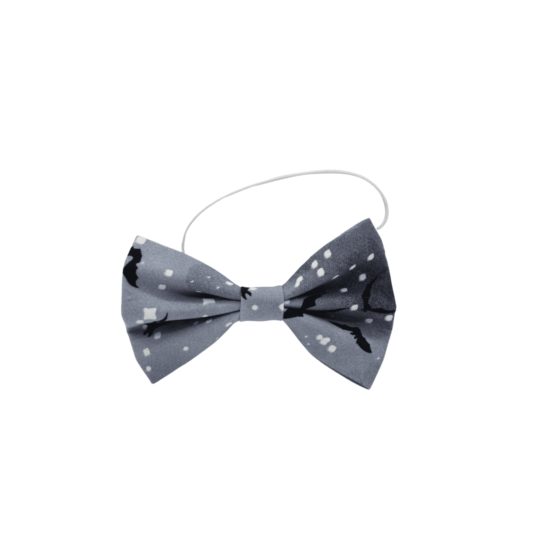 ''Galaxy'' bow tie