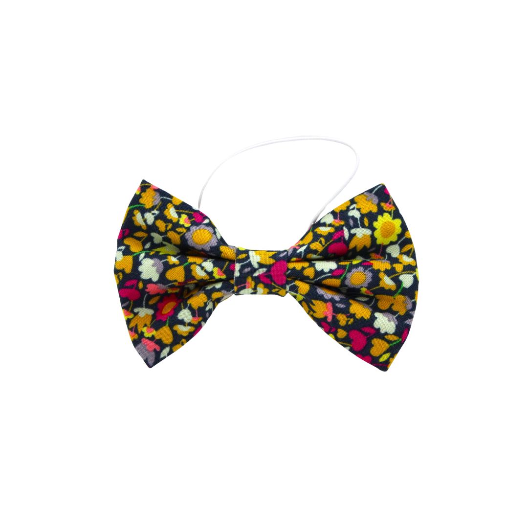 ''Bees world'' bow tie