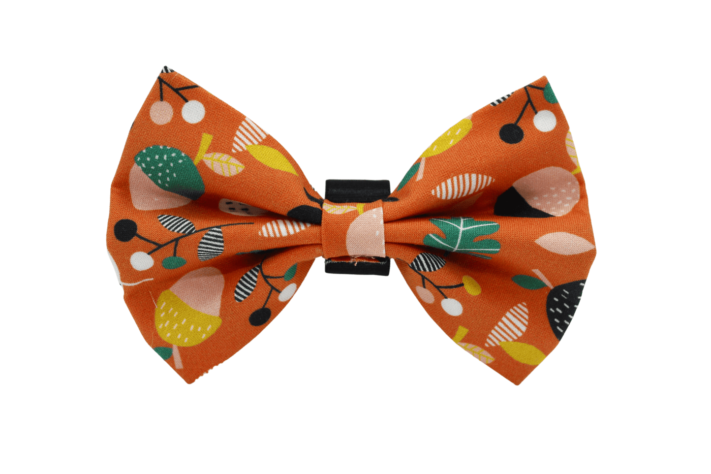 Nœud papillon « Oiseau de nuit »
