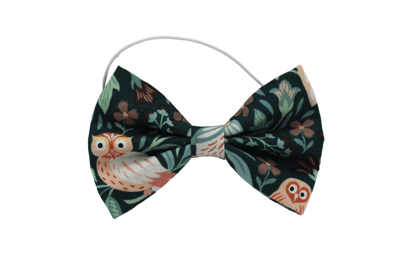 ''Night owl'' bow tie 