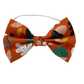 ''Night owl'' bow tie 