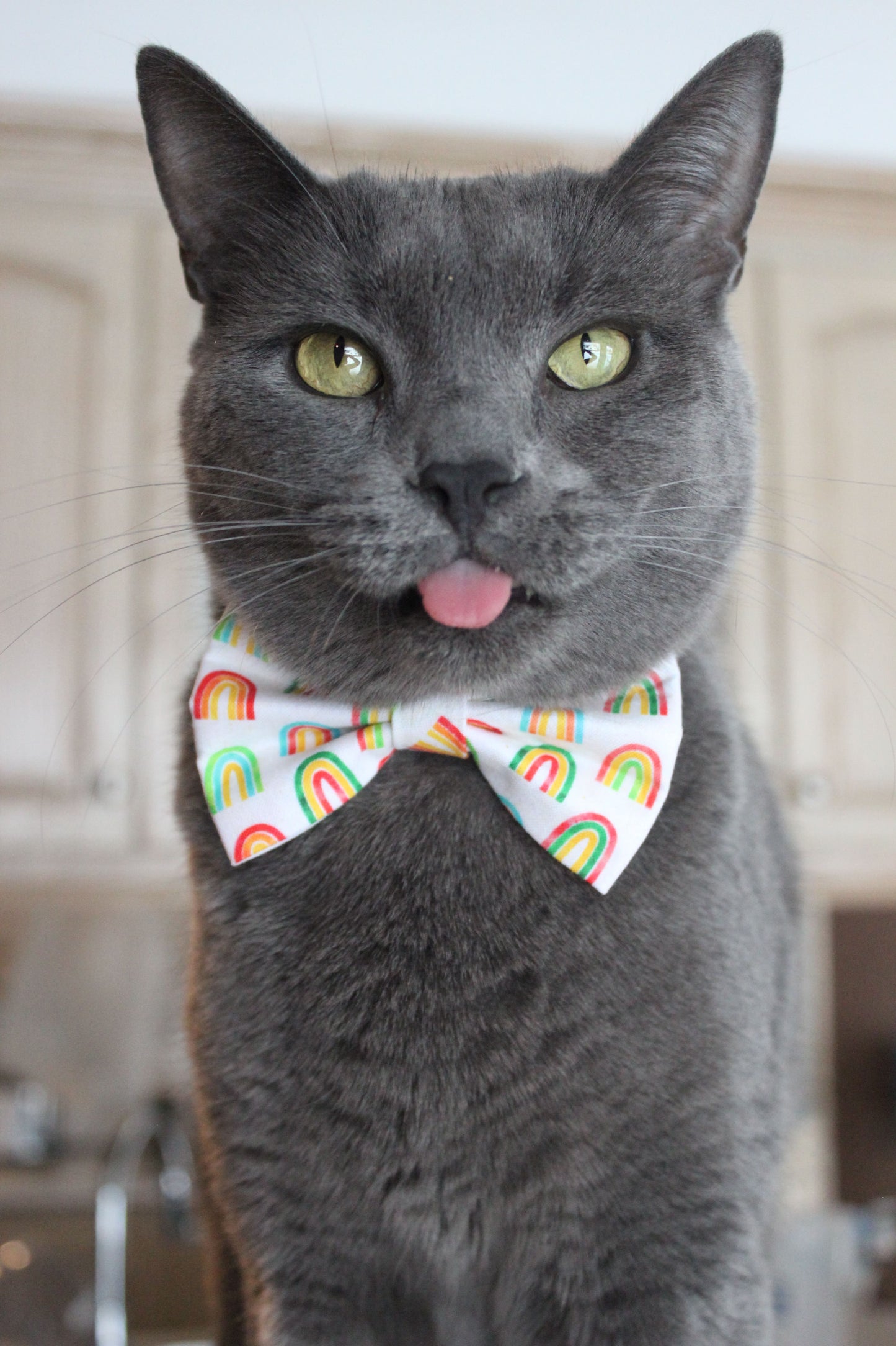 ''Shamrock'' bow tie 