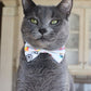 Noeud papillon trop formicrabe gris